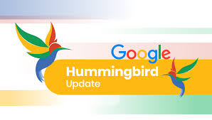 hummingbird online marketing