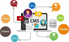 cms webdesign