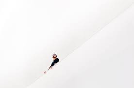 hoog bij google
