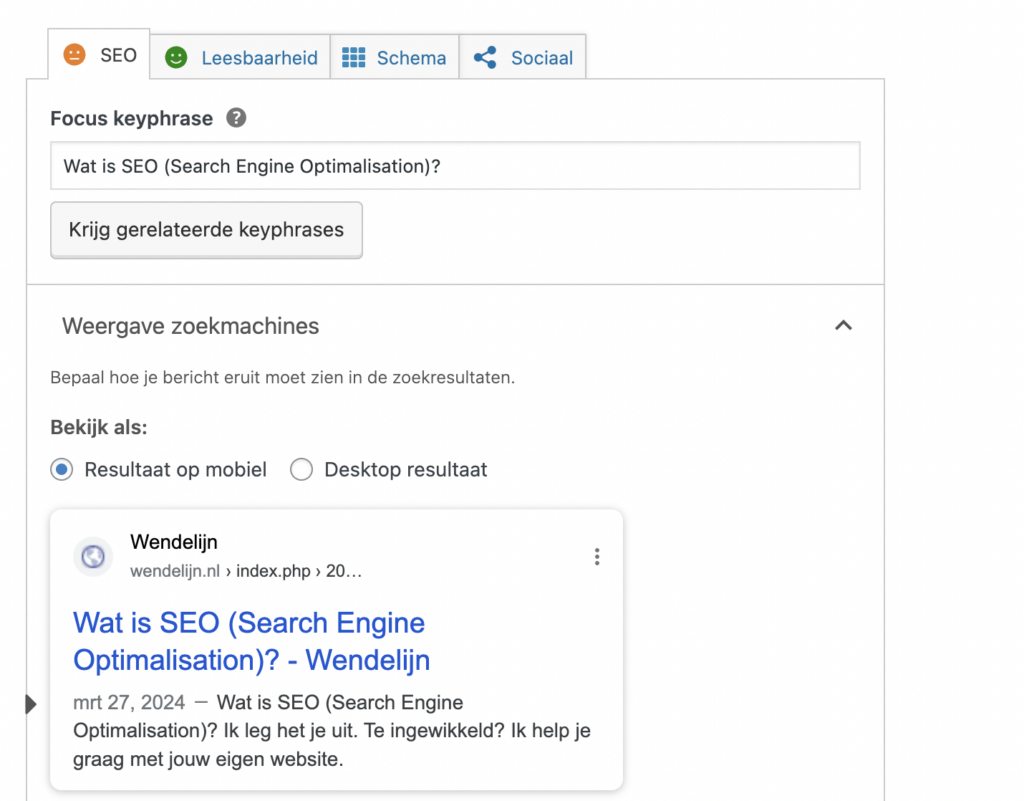 wat betekent search engine optimization